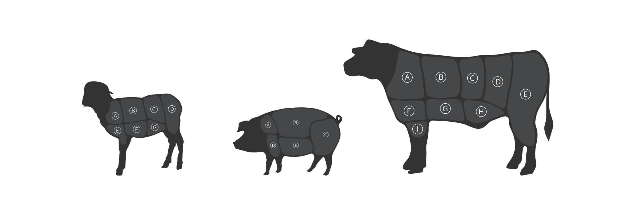 Illustrations of a lamb, pig, and cow depicting the different sections where cuts are taken from.